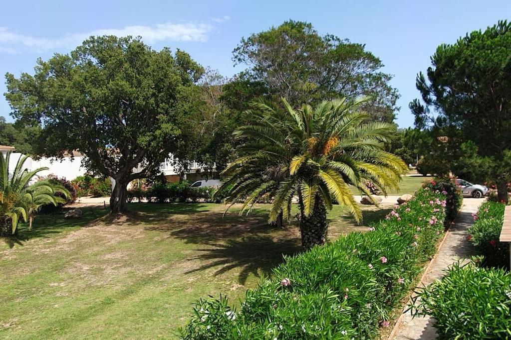 Fiori Di Cala Rossa Appartement T3 Dans Residence Hotelliere Chez Virginie Lecci Exteriér fotografie